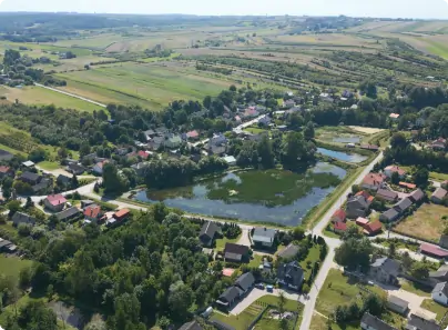 Obraz 11